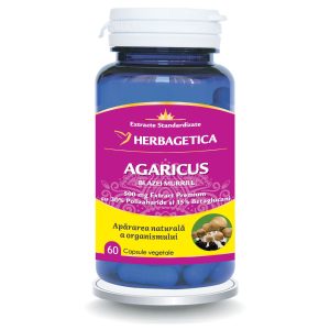 Agaricus