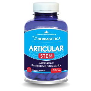 Articular Stem