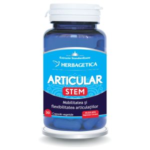 Articular Stem