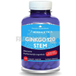 Ginkgo 120 Stem 120 capsule