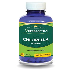 Chlorella