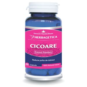 Cicoare Extract