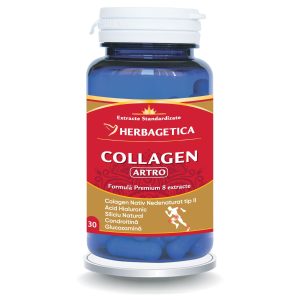 Collagen Artro