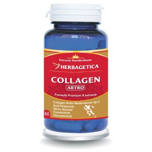 Collagen Artro