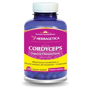 Cordyceps Ciuperca Tibetana Forte