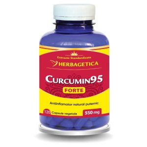 Curcumin95 Forte