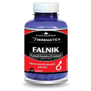 Falnik