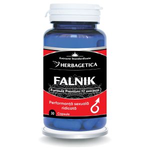 Falnik