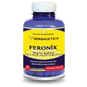 Feronix