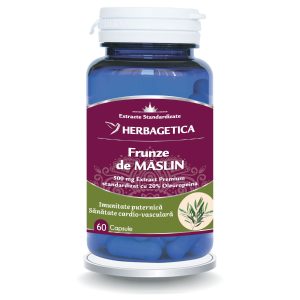 Frunze de Maslin