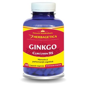 Ginkgo Curcumin95, 120 capsule