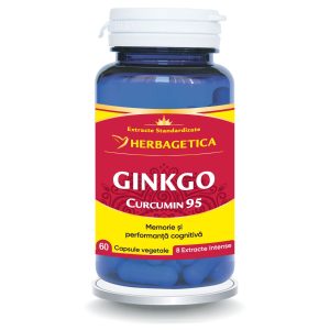 Ginkgo Curcumin95