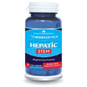 Hepatic Stem