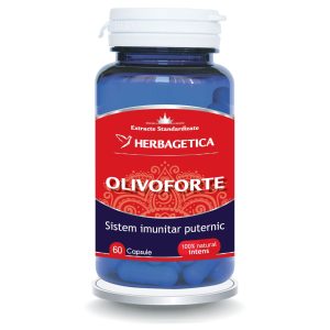 Olivo Forte