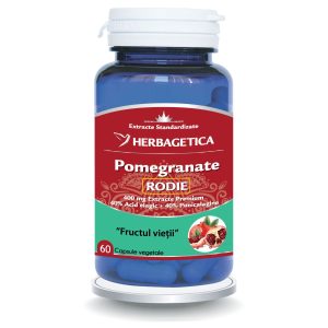 Pomegranate Rodie
