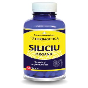 Siliciu Organic