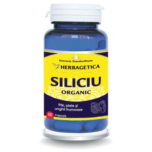 Siliciu Organic